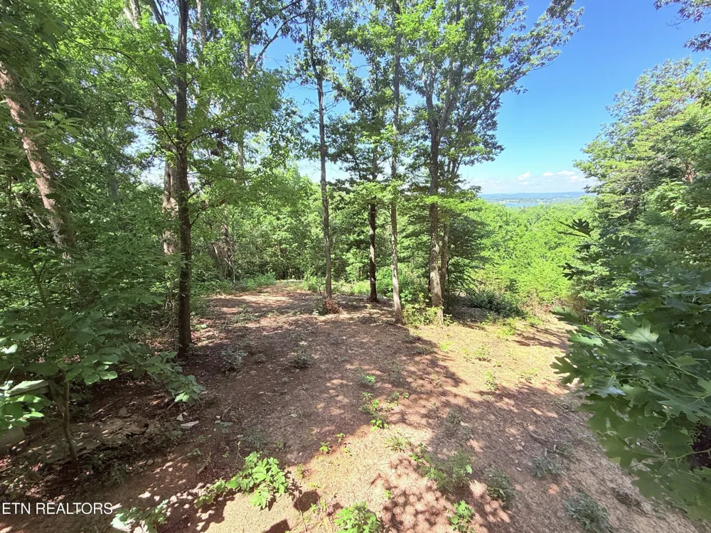 1040 Sturmhaben Way Newport, TN 37821