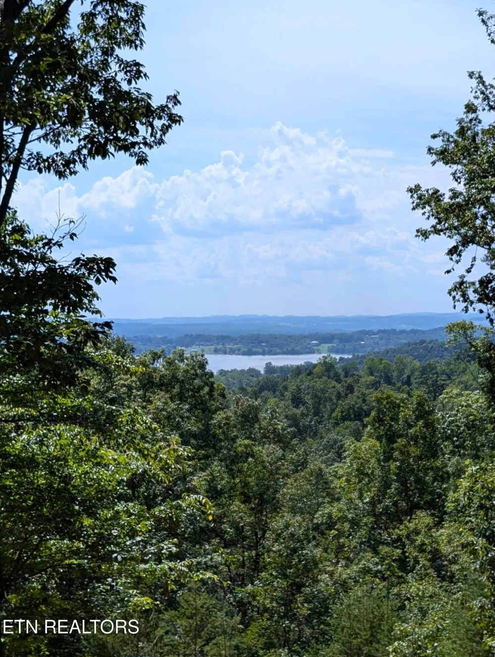 1040 Sturmhaben Way Newport, TN 37821
