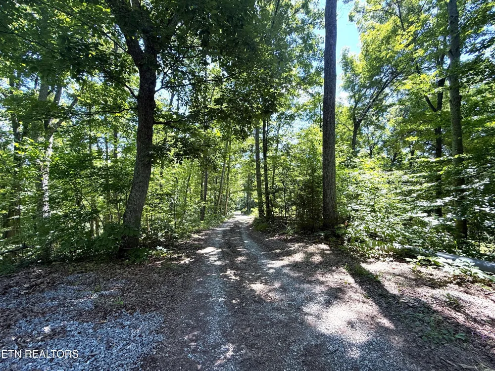 1040 Sturmhaben Way Newport, TN 37821