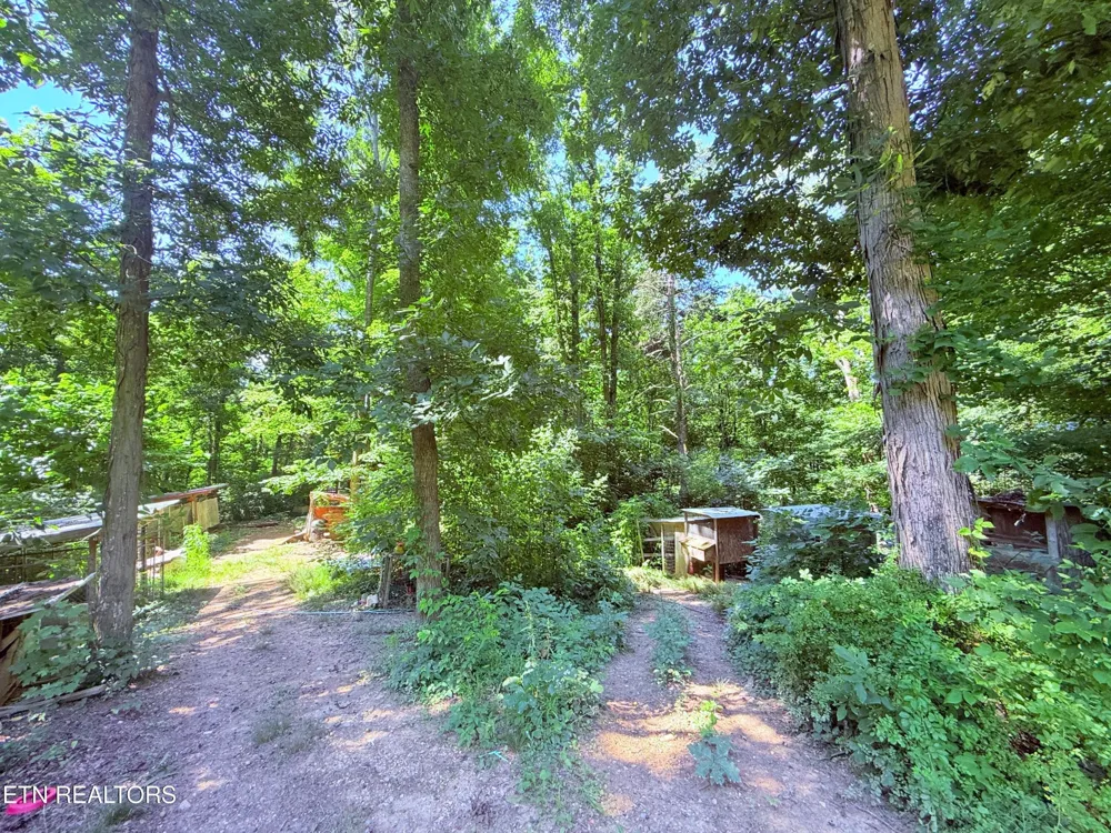 1040 Sturmhaben Way Newport, TN 37821