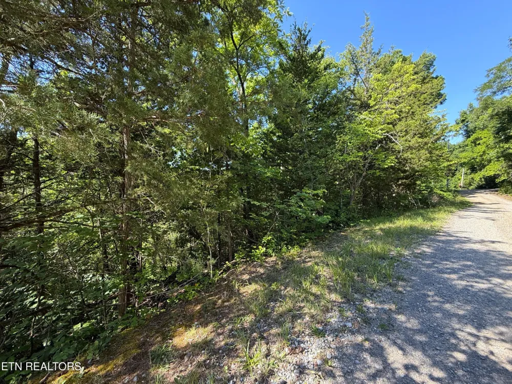 1040 Sturmhaben Way Newport, TN 37821