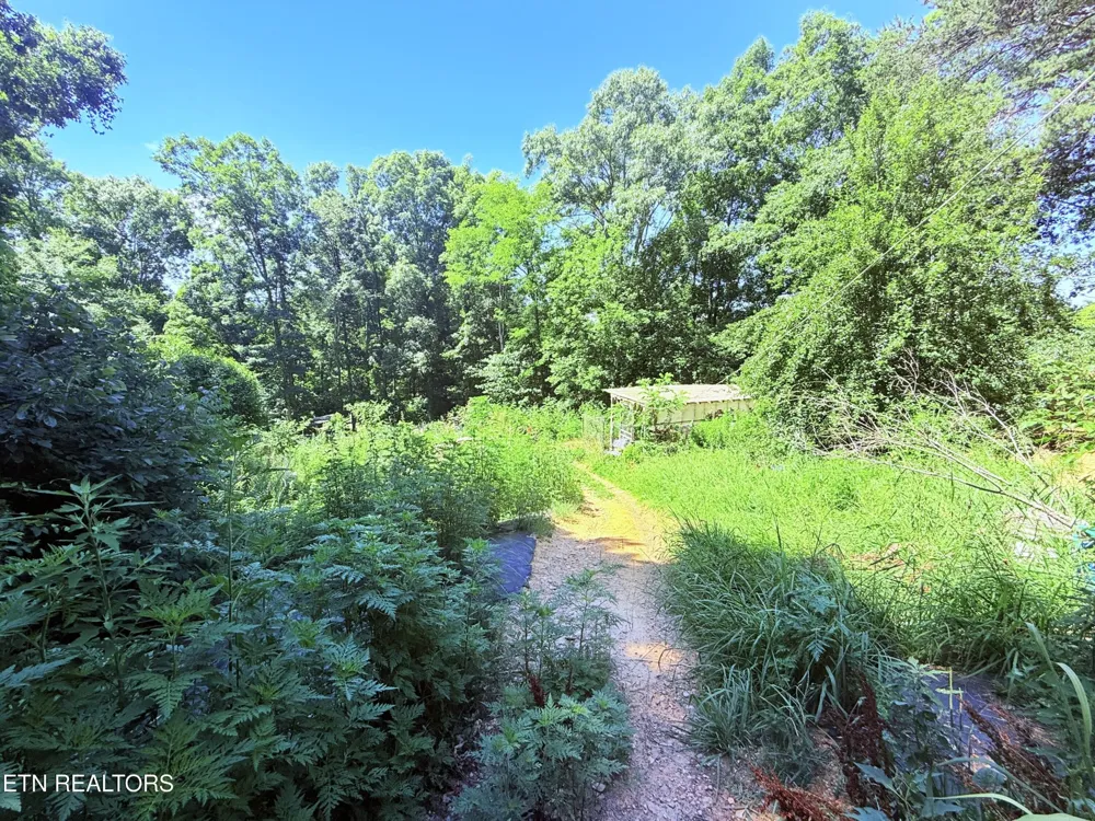 1040 Sturmhaben Way Newport, TN 37821