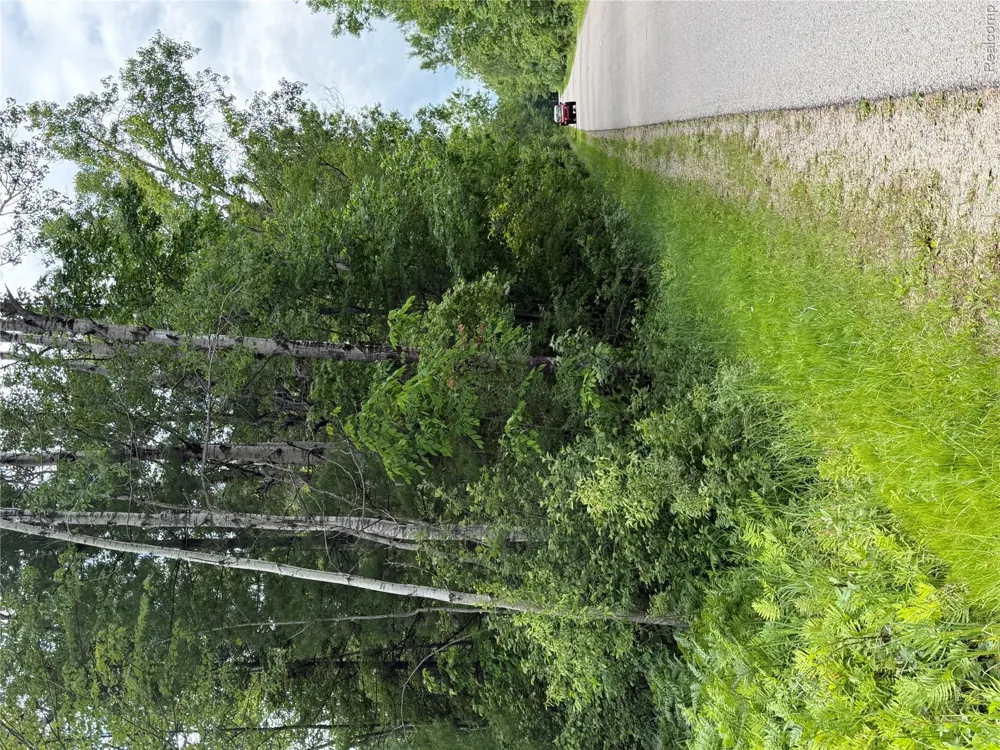 4670 Birch Lane Plainfield Township, MI 48739