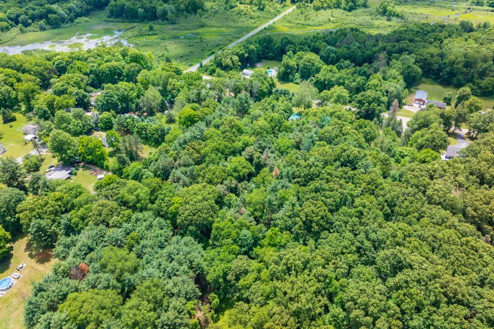 4445 Sassafras Lane Bedford Charter Township, MI 49017