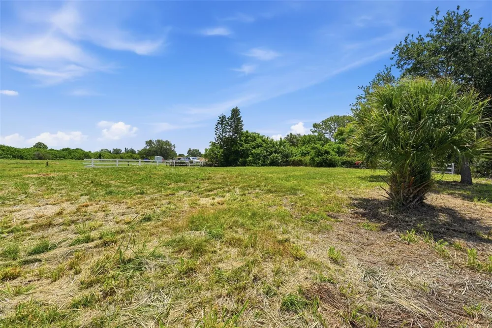 1503 JACKSON DRIVE Holiday, FL 34691