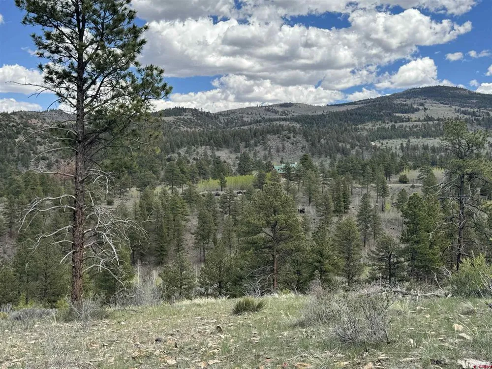 150 Rickel Circle South Fork, CO 81154