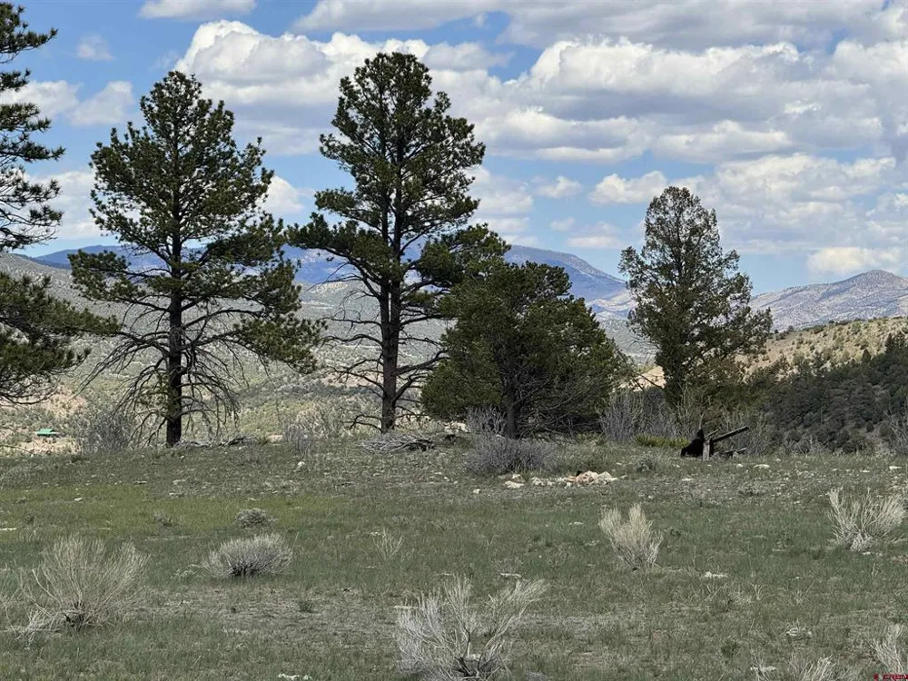 150 Rickel Circle South Fork, CO 81154
