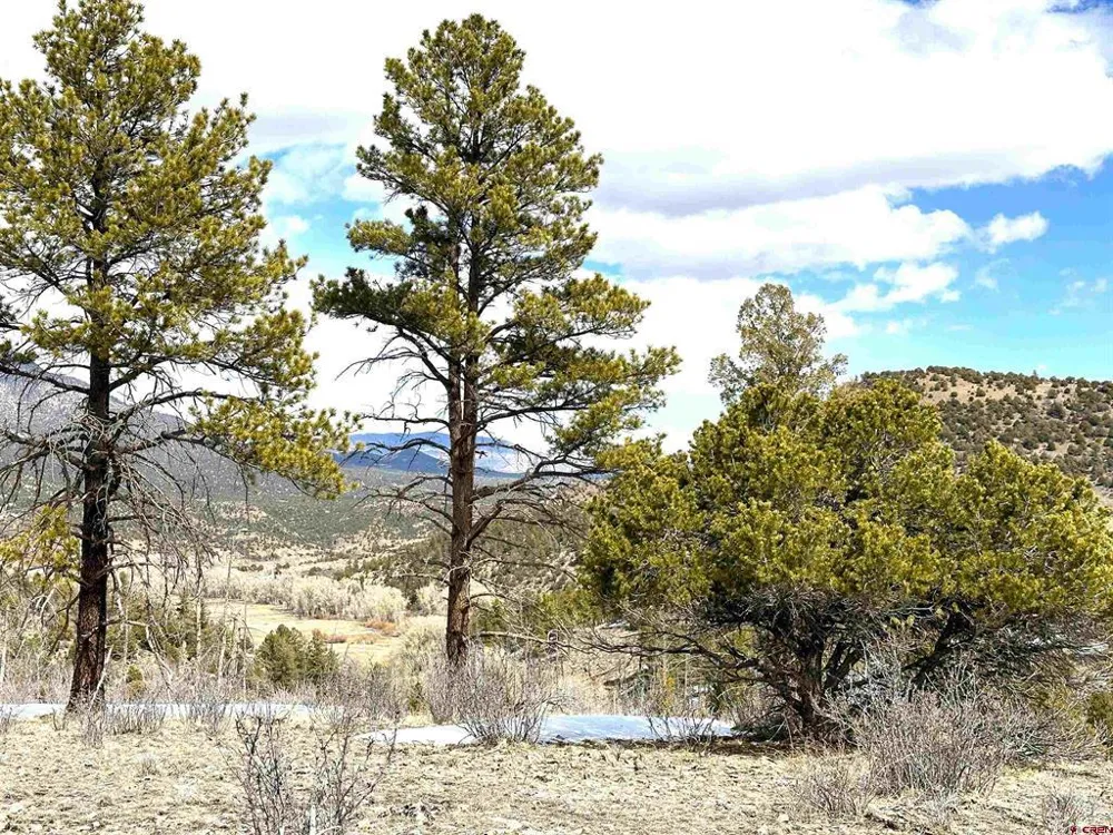 150 Rickel Circle South Fork, CO 81154