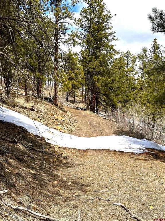 150 Rickel Circle South Fork, CO 81154