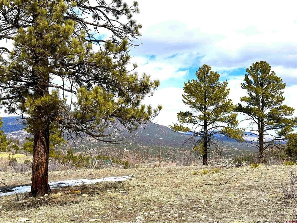 150 Rickel Circle South Fork, CO 81154