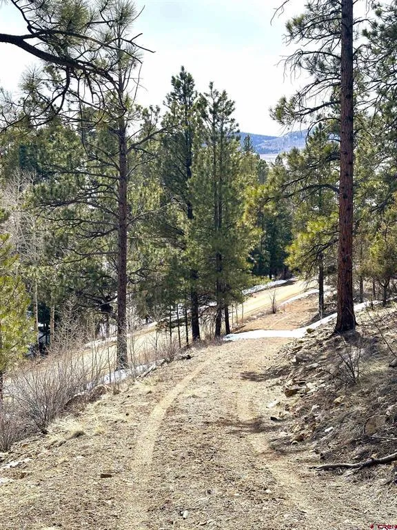 150 Rickel Circle South Fork, CO 81154