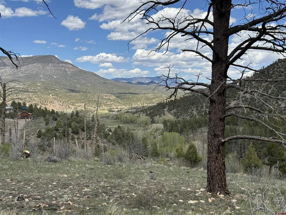 150 Rickel Circle South Fork, CO 81154