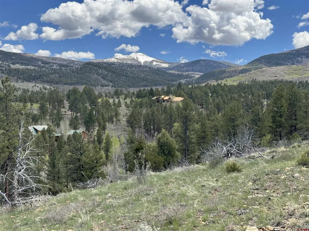 150 Rickel Circle South Fork, CO 81154