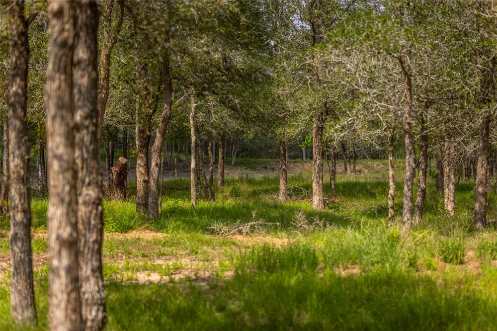 4082 Old Colony Line Road Lockhart, TX 78644