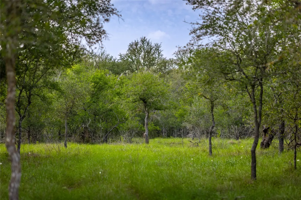 4082 Old Colony Line Road Lockhart, TX 78644