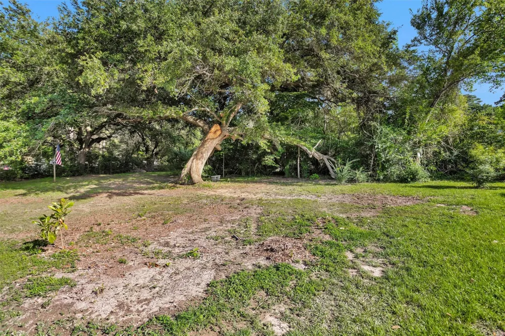 207 W Elder Street Colmesneil, TX 75938