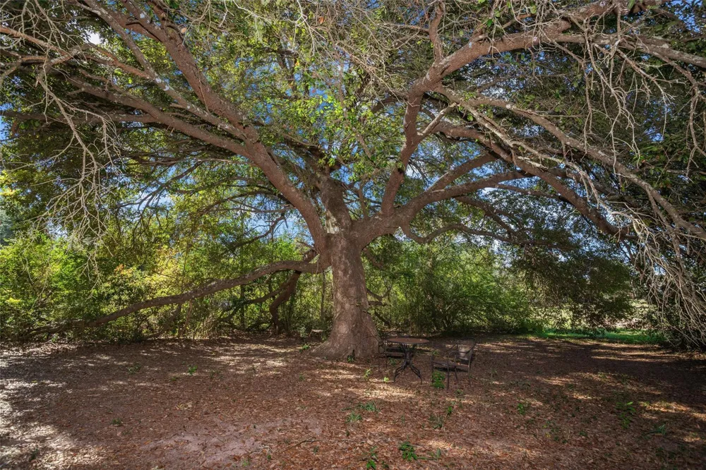 207 W Elder Street Colmesneil, TX 75938