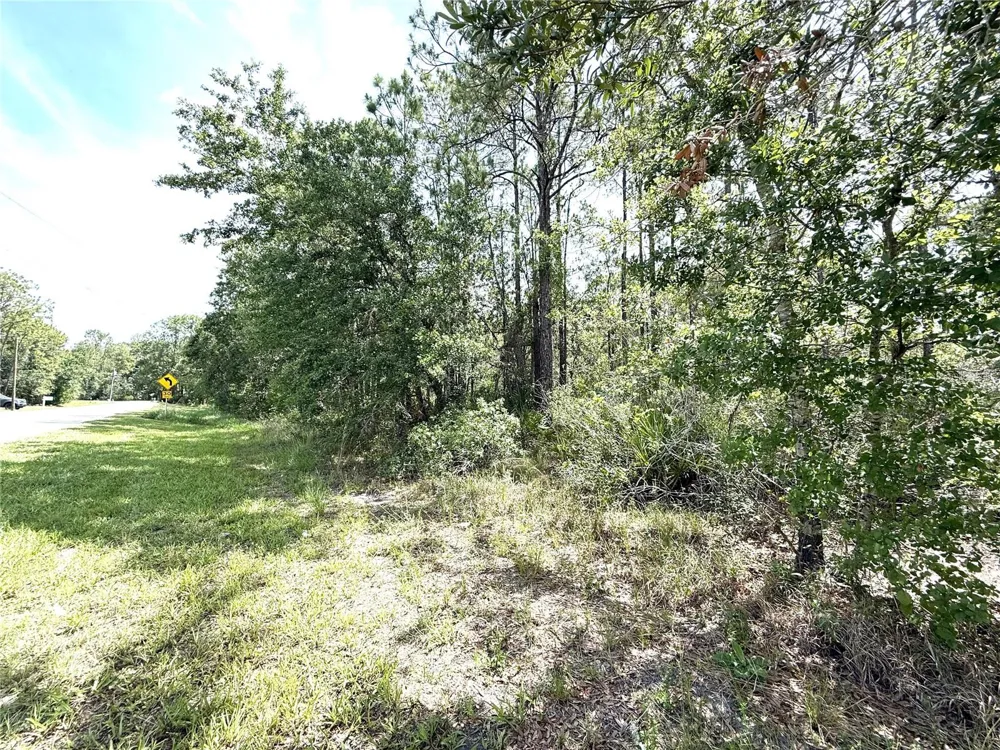 0 LAKE CALOOSA LANDING Frostproof, FL 33843