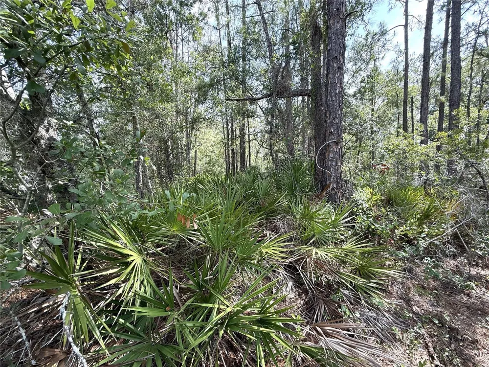 0 LAKE CALOOSA LANDING Frostproof, FL 33843