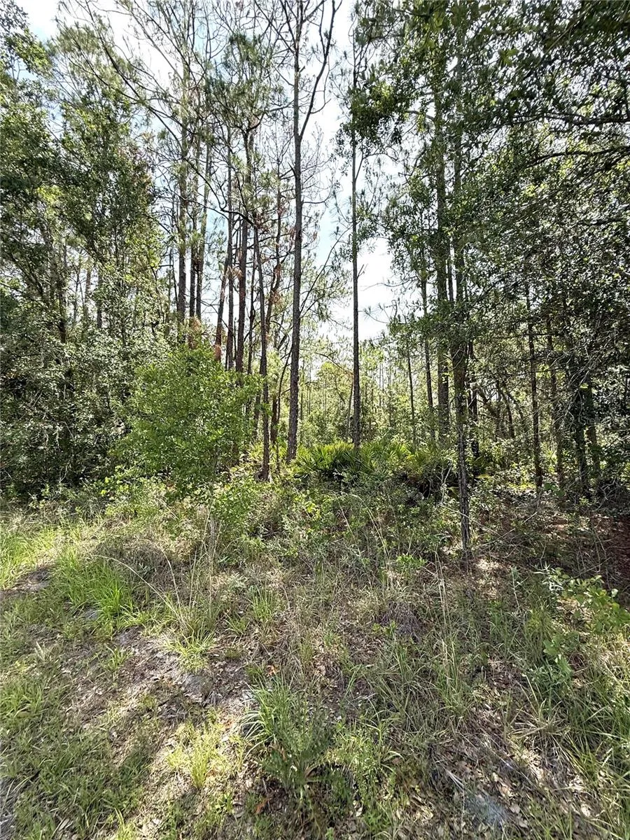 0 LAKE CALOOSA LANDING Frostproof, FL 33843