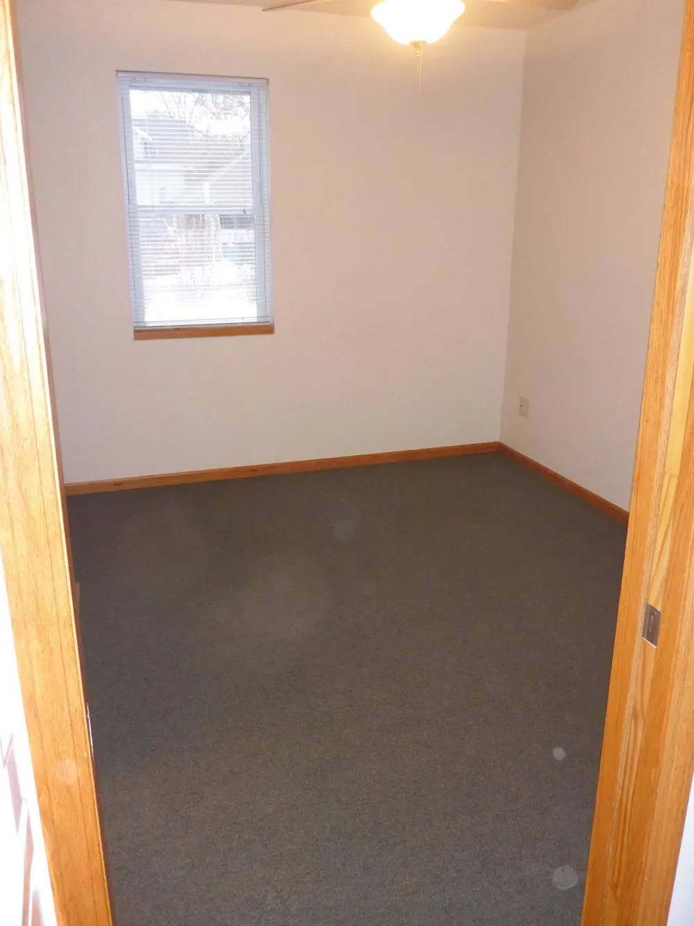 101 Wilson Street Springfield, MN 56087