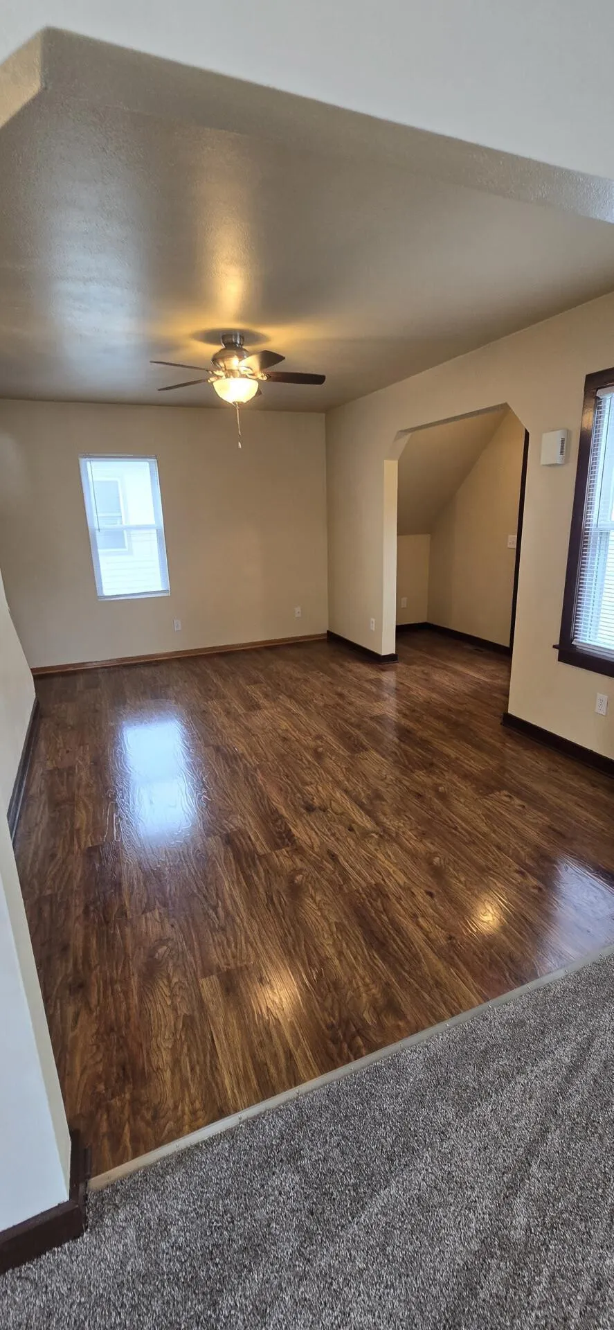 101 Wilson Street Springfield, MN 56087