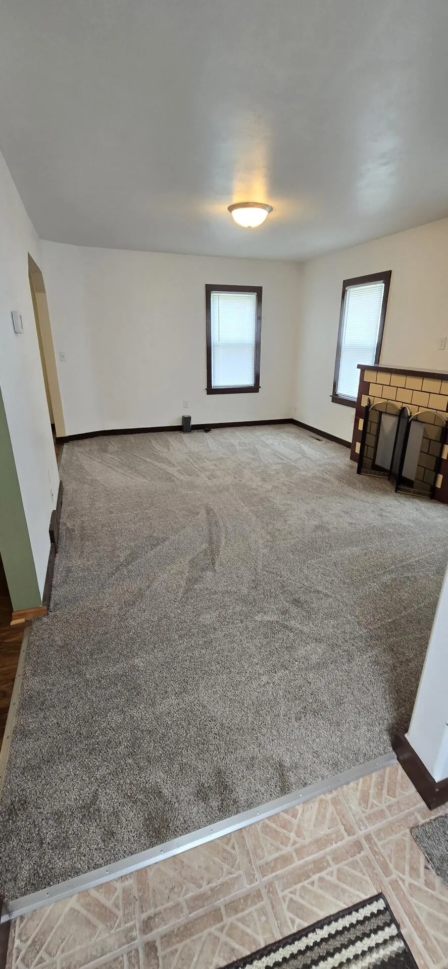 101 Wilson Street Springfield, MN 56087