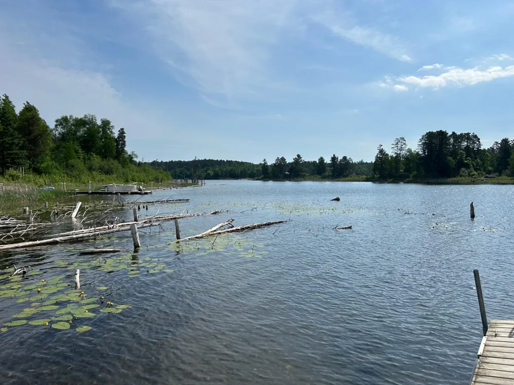 13894 Grouse Trail Bagley, MN 56621