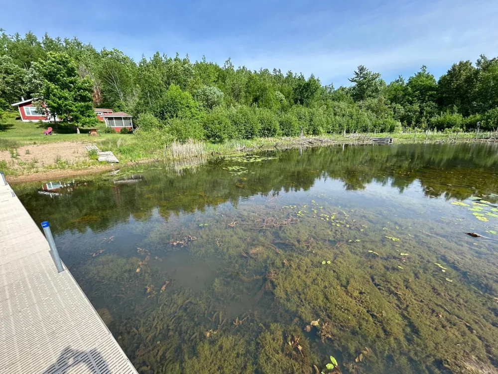 13894 Grouse Trail Bagley, MN 56621