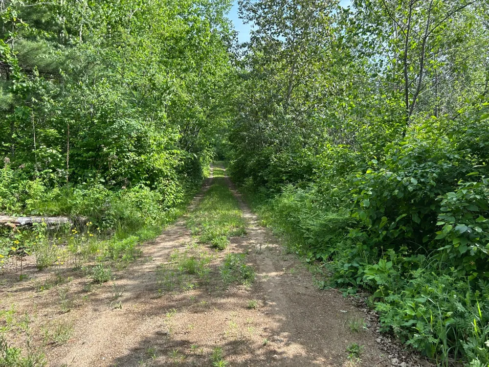 13894 Grouse Trail Bagley, MN 56621