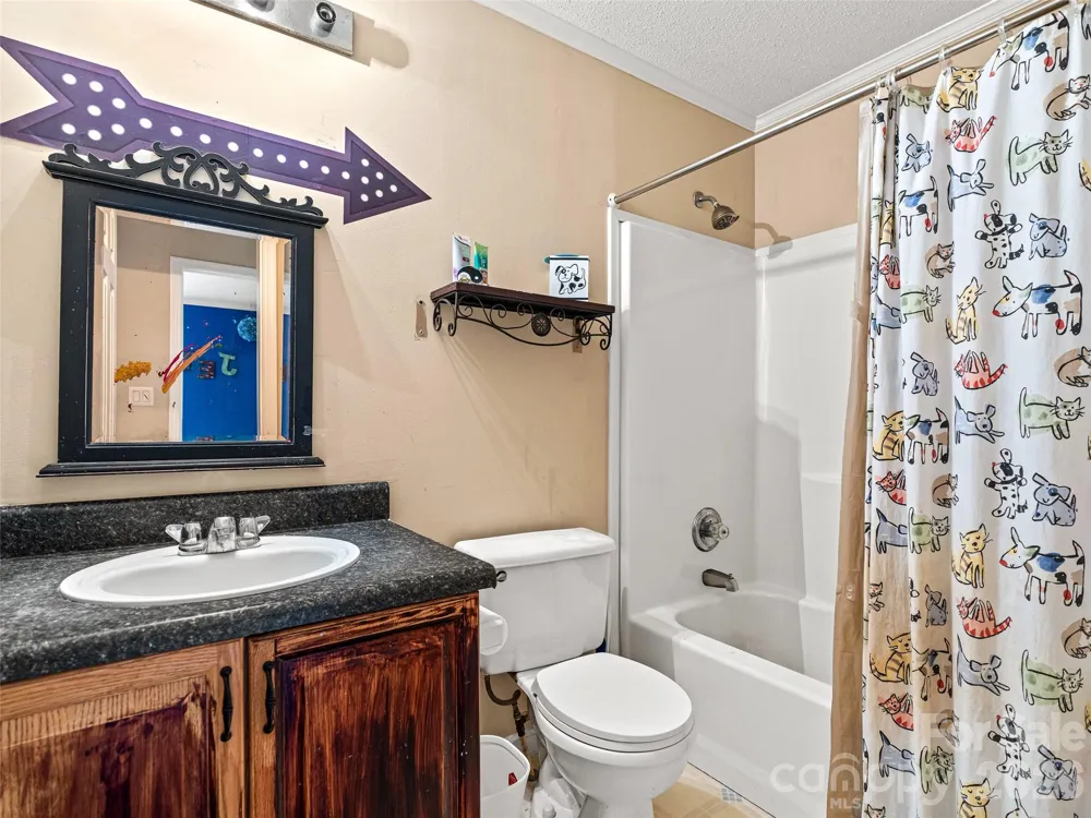 17 Captains Drive Candler, NC 28715