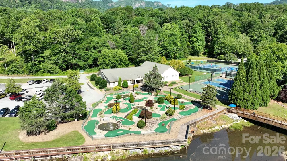 147 W Lake Drive S #1206 Lake Lure, NC 28746