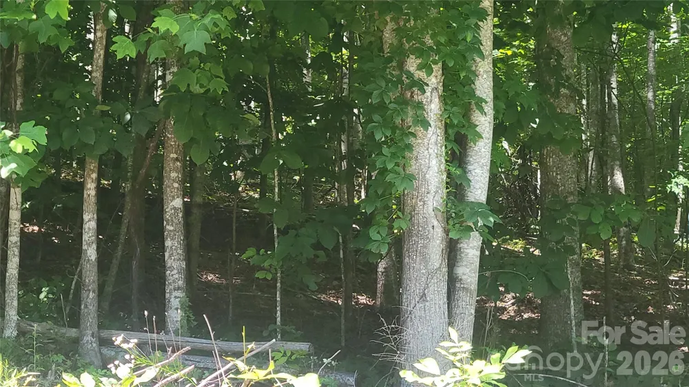 Lots 16, 17 &23 Wildwood Acres Drive Burnsville, NC 28714