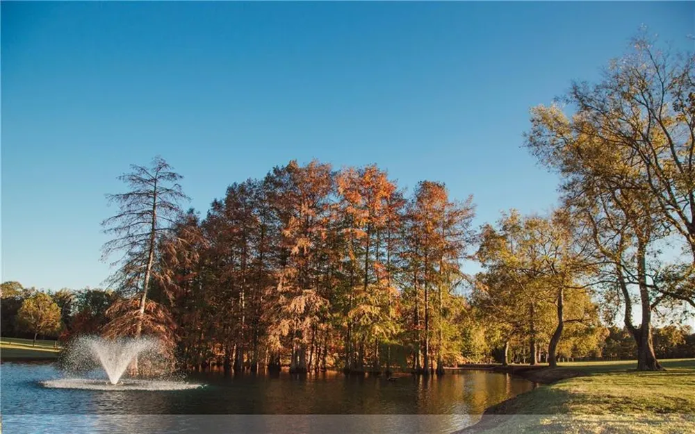 1603 Boutwell Road Perry, GA 31069