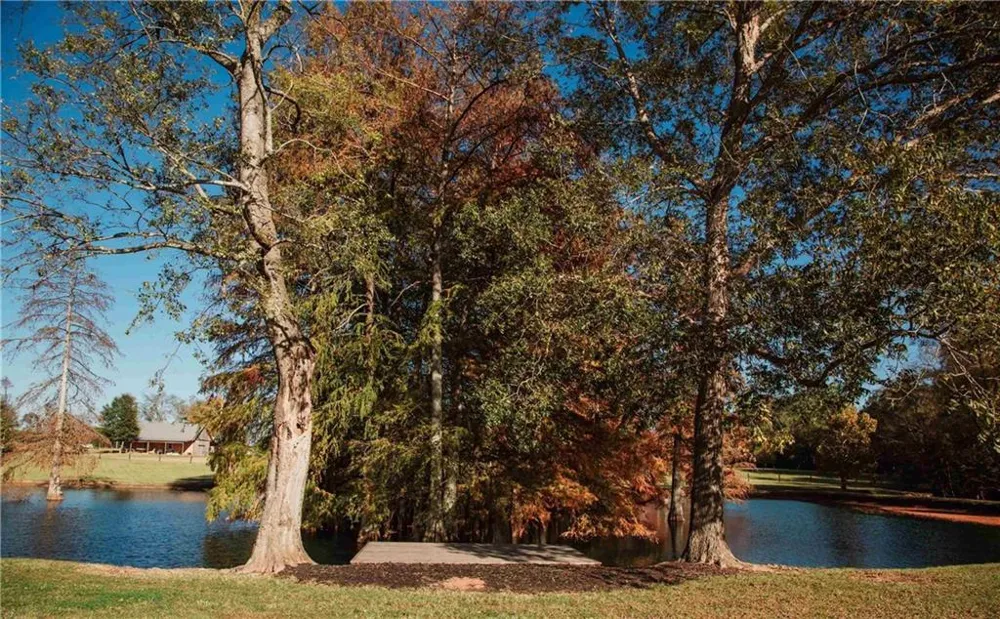 1603 Boutwell Road Perry, GA 31069