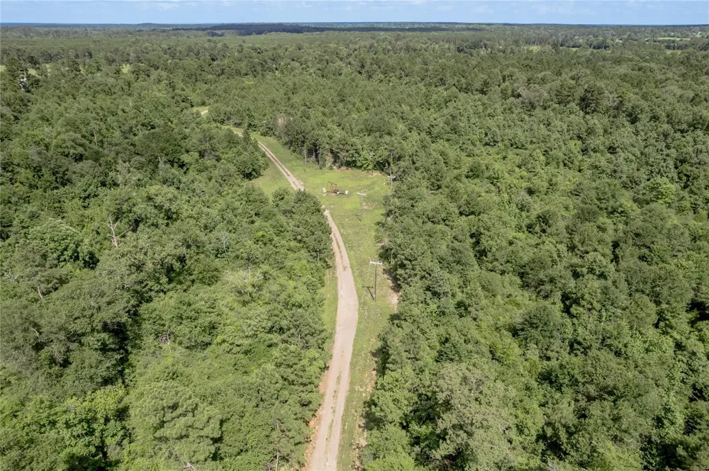 Off Gaston Road Groveton, TX 75845