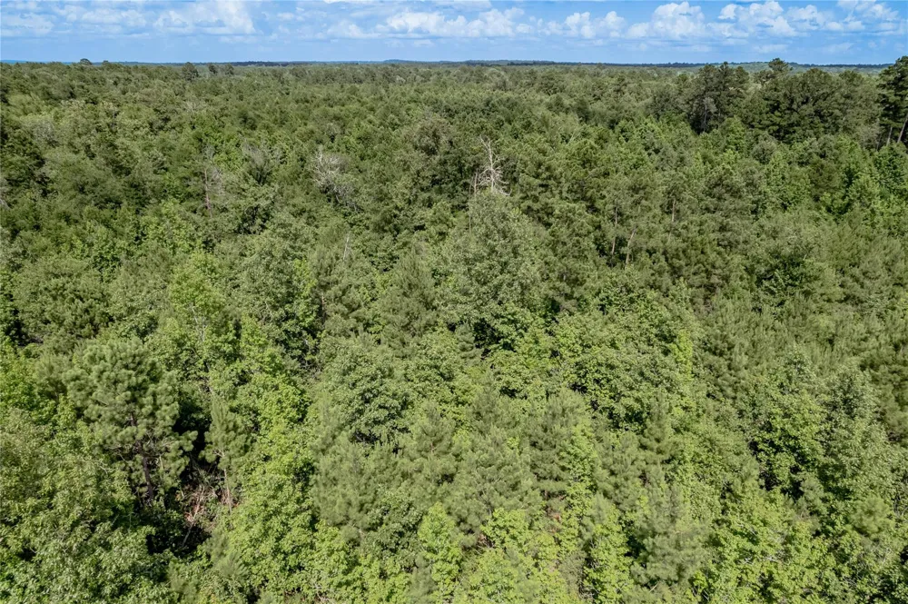 Off Gaston Road Groveton, TX 75845