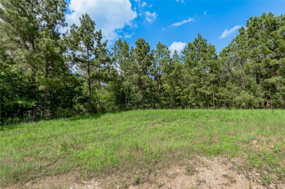 Off Gaston Road Groveton, TX 75845
