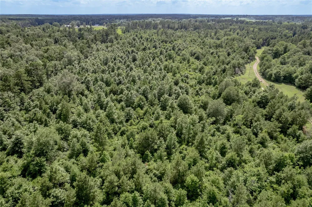 Off Gaston Road Groveton, TX 75845