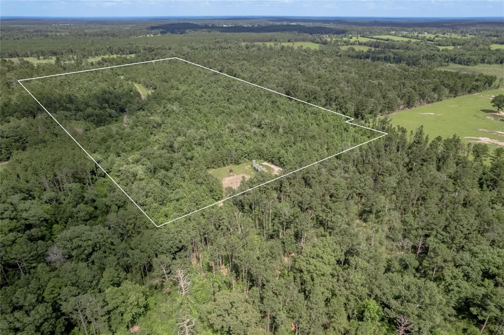 Off Gaston Road Groveton, TX 75845