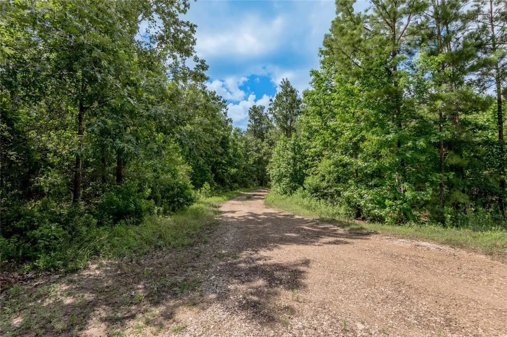 Off Gaston Road Groveton, TX 75845