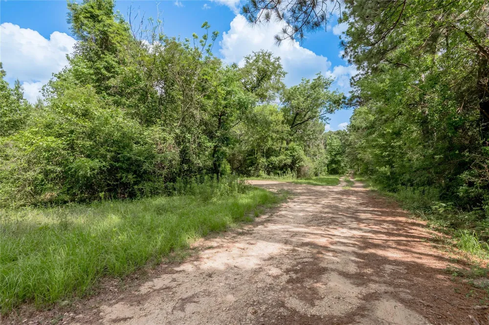 Off Gaston Road Groveton, TX 75845