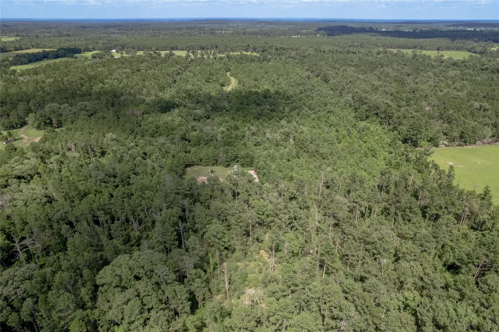 Off Gaston Road Groveton, TX 75845