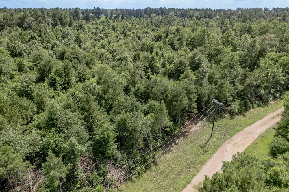 Off Gaston Road Groveton, TX 75845