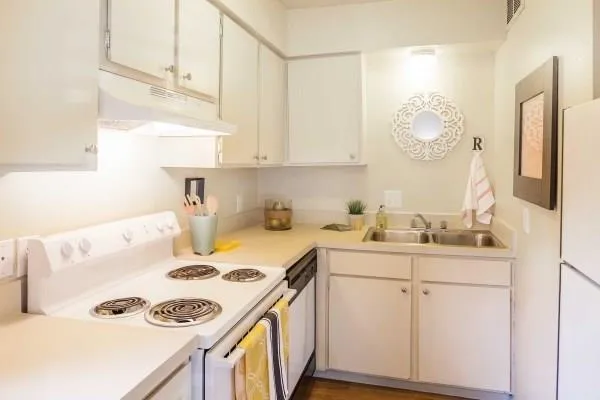 4209 Avenue B Avenue #106 Austin, TX 78751