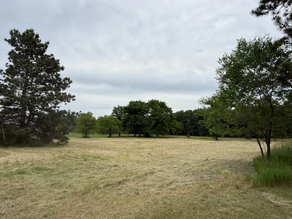 000 Eastwood Lane Motley, MN 56466