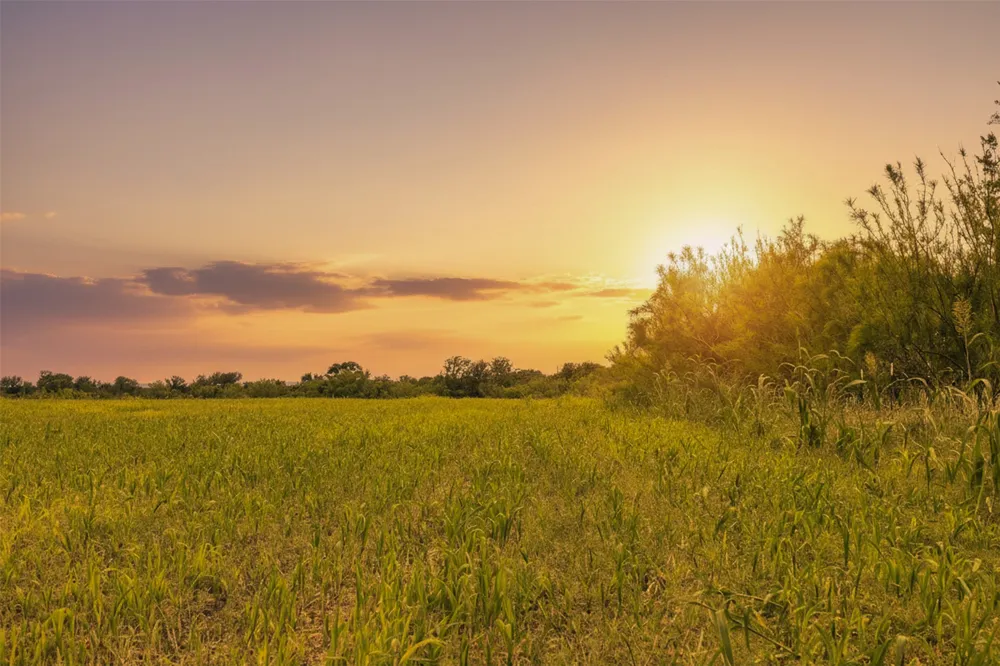 21814 Hogeye Road Manor, TX 78653