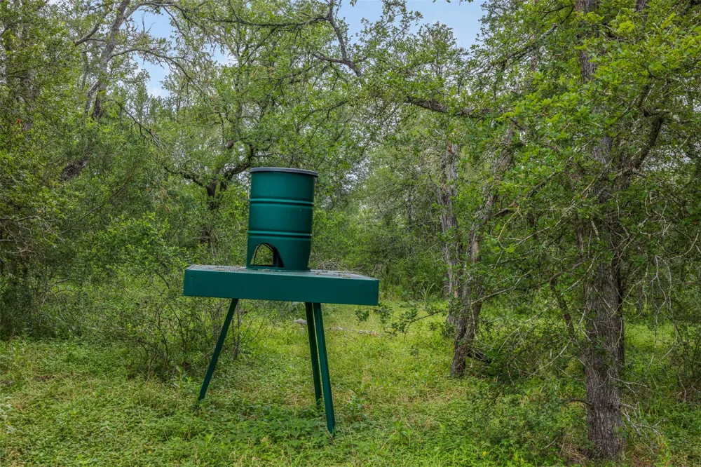 21814 Hogeye Road Manor, TX 78653