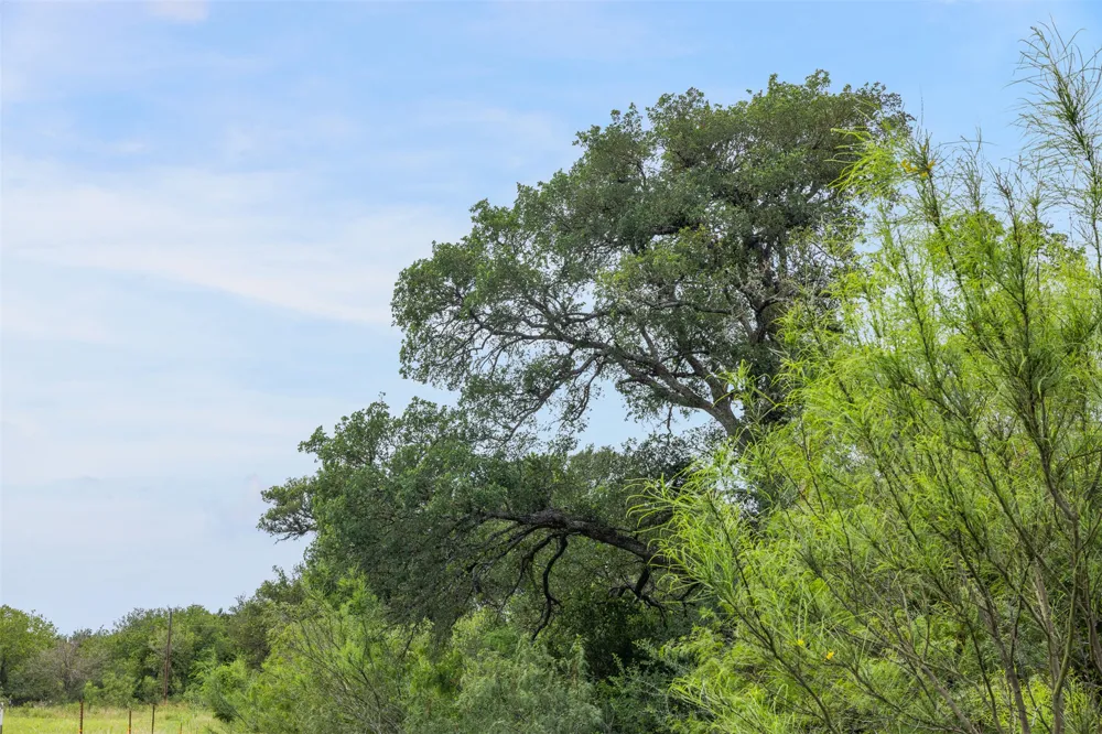 21814 Hogeye Road Manor, TX 78653