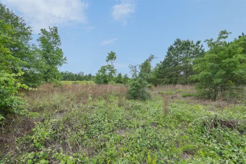 20 County Road